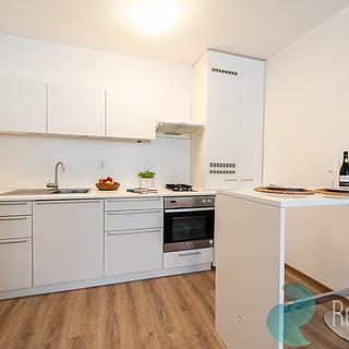 Prodej bytu 2+kk 44 m² Praha Žižkov, U kněžské louky