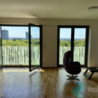 Pronájem bytu 3+kk 95 m² Praha Žižkov, Olšanská