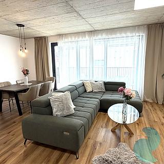 Pronájem bytu 4+kk 115 m² Srubec, Dolní