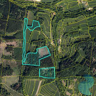 Prodej lesa 16 784 m² Bystřička