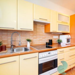 Prodej bytu 2+1 53 m² Český Krumlov Nádražní Předměstí, Vyšehrad