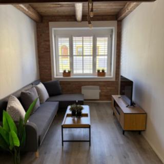 Pronájem bytu 2+kk 55 m² České Budějovice