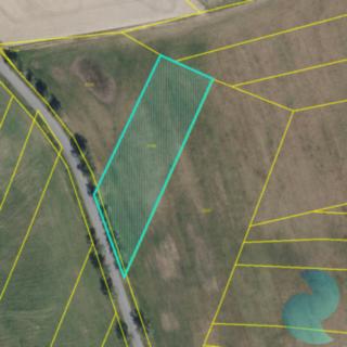Prodej zemědělské půdy 24 717 m² Hlavečník