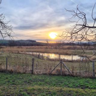 Prodej rodinného domu 270 m² Terezín