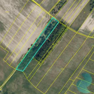 Prodej zemědělské půdy 3 089 m² Hlavečník