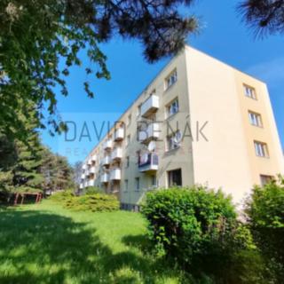 Pronájem bytu 2+kk 55 m² Hradec Králové Pražské Předměstí, Medkova