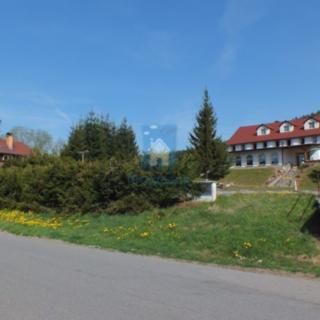 Prodej hotelu a penzionu 3 261 m² Strážný Řasnice