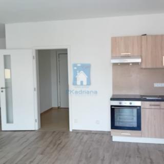 Pronájem bytu 1+kk a garsoniéry 54 m² Plzeň Východní Předměstí, Rejskova