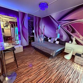 Pronájem bytu 1+kk, garsoniery 35 m&sup2; Plzeň