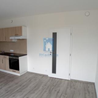 Pronájem bytu 1+kk a garsoniéry 27 m² Plzeň Východní Předměstí, Železniční
