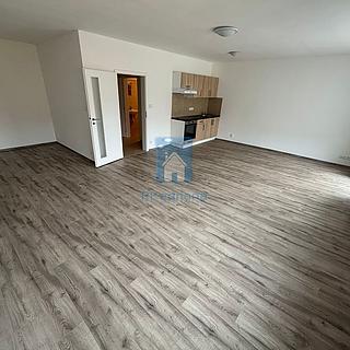 Pronájem bytu 1+kk, garsoniery 54 m&sup2; Plzeň