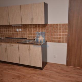 Pronájem bytu 1+kk a garsoniéry 34 m² Plzeň Litice, Klatovská