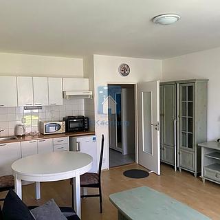 Pronájem bytu 1+kk a garsoniéry 30 m² Hostivice, Za Mlýnem