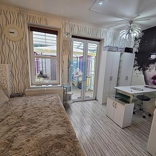 Pronájem bytu 1+kk a garsoniéry 28 m² Plzeň Východní Předměstí, Koterovská