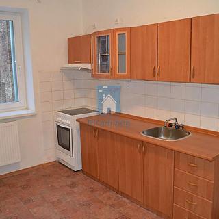 Pronájem bytu 1+1 42 m² Plzeň