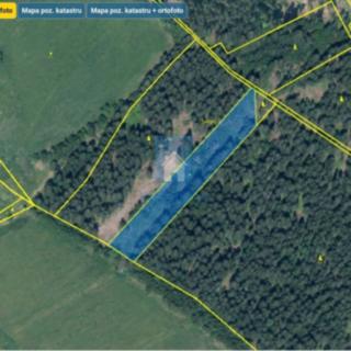 Prodej louky 5 547 m² Strážný