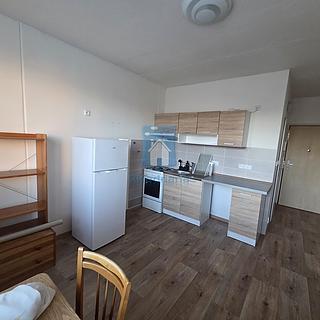 Pronájem bytu 1+1 43 m&sup2; Plzeň