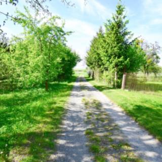 Prodej stavební parcely 2 033 m² Ronov nad Doubravou, Nádražní