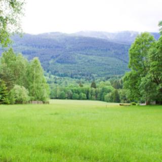Prodej stavební parcely 16 959 m² Železná Ruda Hojsova Stráž