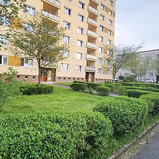 Pronájem bytu 1+1 40 m² Třemošná, Budovatelská