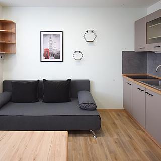 Pronájem bytu 1+kk, garsoniery 20 m&sup2; Úněšov