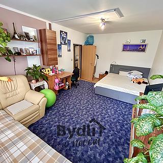 Prodej bytu 2+1 56 m&sup2; Písek