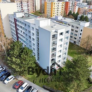 Prodej bytu 2+1 56 m² Písek Budějovické Předměstí, Smrkovická