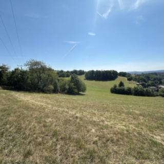 Prodej louky 12734 m² Jílové u Prahy