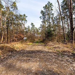 Prodej stavební parcely 4 428 m² Hradištko, Kersko