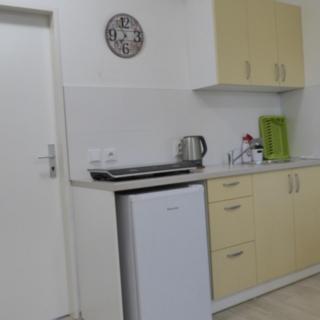 Pronájem bytu 1+1 31 m² Frýdek-Místek Místek, Palkovická