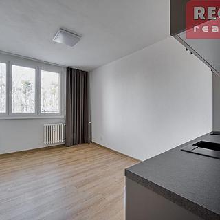 Pronájem bytu 1+kk, garsoniery 23 m&sup2; Frýdek-Místek