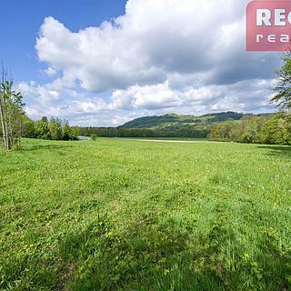 Prodej louky 890 m&sup2; Metylovice