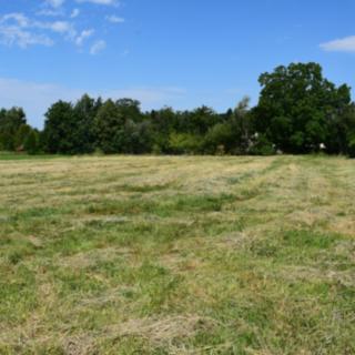 Prodej stavební parcely 2 407 m² Havířov Bludovice, Na Sioně