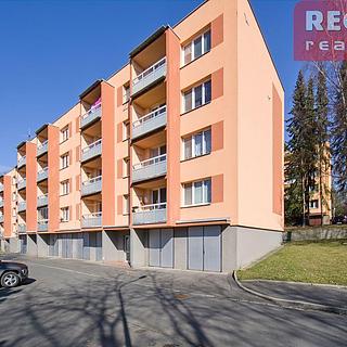 Pronájem bytu 1+kk a garsoniéry 23 m² Frýdek-Místek Frýdek, Javorová