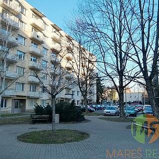 Pronájem bytu 2+1 65 m² České Budějovice, Mánesova