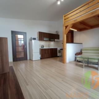 Pronájem bytu 1+kk a garsoniéry 40 m² České Budějovice 5, Suchovrbenské nám.