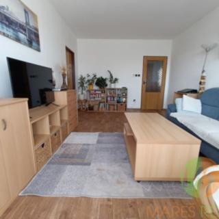 Pronájem bytu 3+1 75 m² České Budějovice 3, Jana Štursy