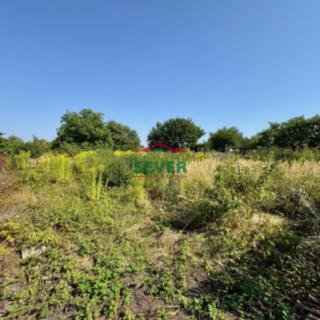 Prodej zahrady 475 m² Louny