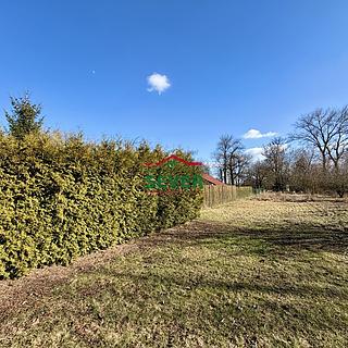 Prodej zahrady 582 m² Počedělice Orasice