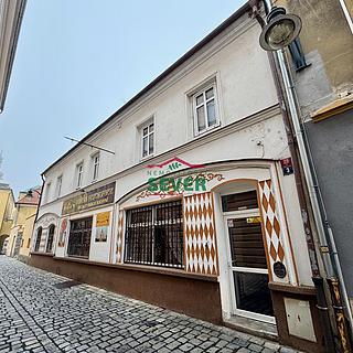 Prodej ostatního komerčního prostoru 400 m² Chomutov, Příční