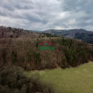 Prodej lesa 36 852 m² Stráž nad Ohří