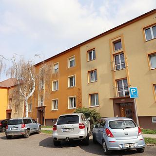 Prodej bytu 1+1 40 m² Štětí, Ostrovní