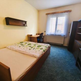 Pronájem pokoje 12 m² Brno Černá Pole, Demlova