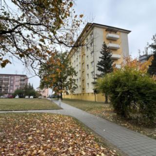 Pronájem bytu 2+1 55 m² Třebíč Horka-Domky, Demlova
