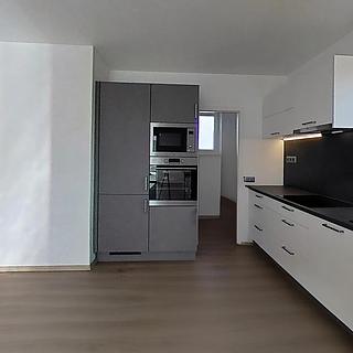 Pronájem bytu 3+kk 100 m² Rudíkov