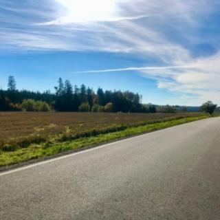 Prodej komerčního pozemku 1 354 m² Želetava Šašovice