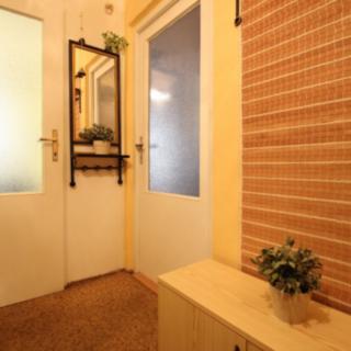Pronájem bytu 1+1 36 m² Třebíč, Modřínová