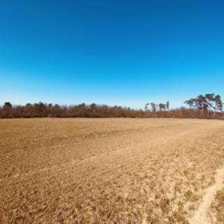 Prodej zahrady 7 000 m² Dobšice