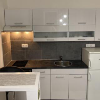 Pronájem bytu 1+kk a garsoniéry 27 m² Jihlava, Telečská