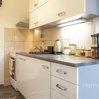 Pronájem bytu 1+kk a garsoniéry 30 m² Nový Jičín, Dvořákova